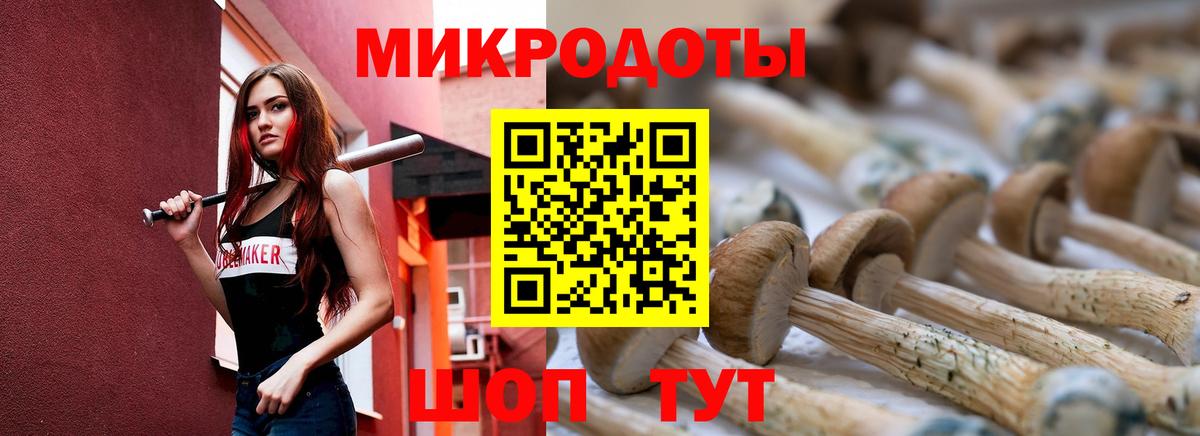 Псилоцибиновые грибы MAGIC MUSHROOMS Тула